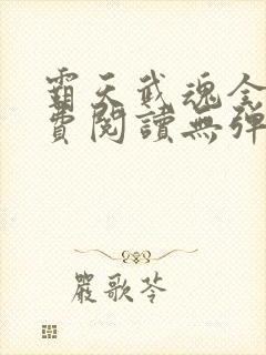 霸天武魂全文免费阅读无弹窗封面