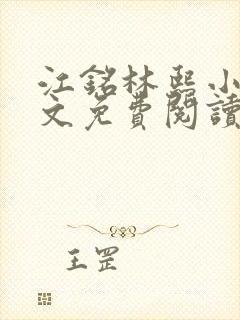 江铭林熙小说全文免费阅读封面