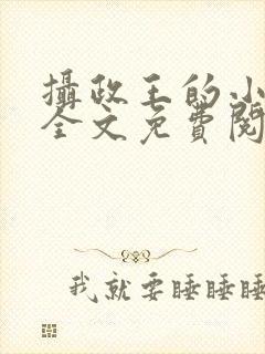 摄政王的小王妃全文免费阅读