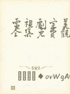 电视剧完美伴侣全集免费观看