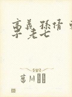 高义 孙倩 东子 老七封面