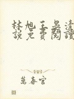 林旭王晏清的小说免费阅读封面