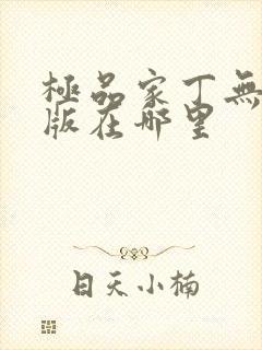 极品家丁无删减版在哪里