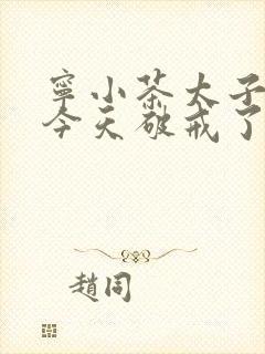 宁小茶太子殿下今天破戒了吗免费阅读