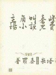 主角叫秦峰的官场小说免费阅读