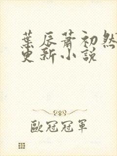 叶辰萧初然最快更新小说封面