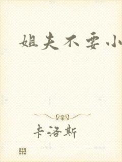 姐夫不要小说