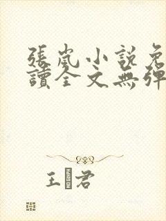 张岚小说免费阅读全文无弹窗