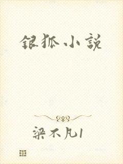 银狐小说封面