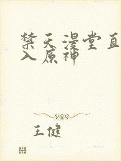 禁天漫堂直接进入原神