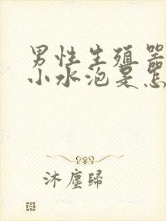 男性生殖器上长小水泡是怎么回事呢