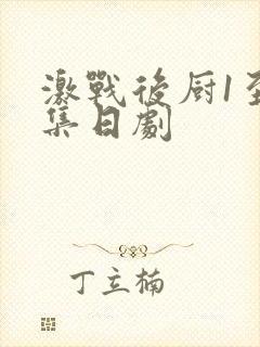 激战后厨1至5集日剧封面