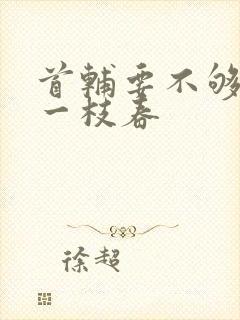 首辅要不够po一枝春封面