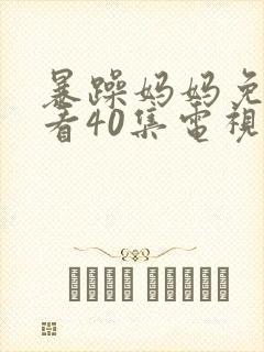 暴躁妈妈免费观看40集电视剧