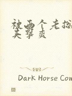 被两个老总前后夹击爽