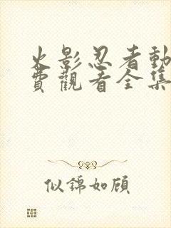 火影忍者动画免费观看全集封面