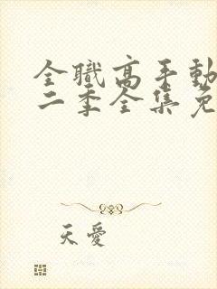 全职高手动漫第二季全集免费观看完整版封面