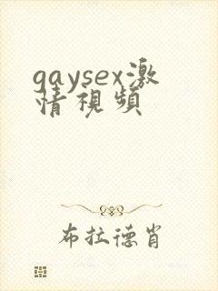 gaysex激情视频
