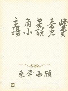 主角是秦峰的官场小说免费阅读