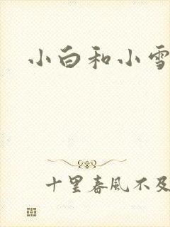 小白和小雪