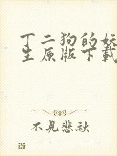 丁二狗的妖孽人生原版下载封面