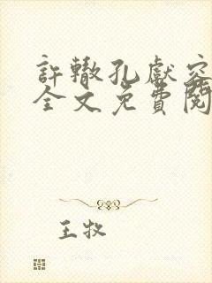 许辙孔献容小说全文免费阅读笔趣阁封面