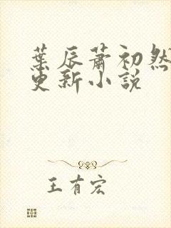 叶辰萧初然最快更新小说