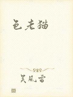 色老猫封面