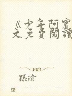 《少年阿宾》全文免费阅读