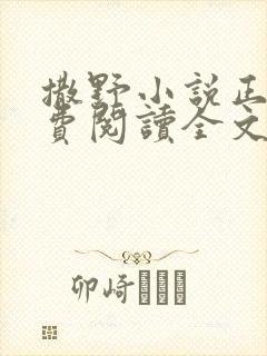 撒野小说正版免费阅读全文无弹窗