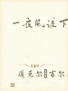 一夜风流下载