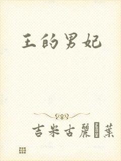 王的男妃封面