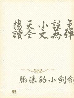 杨天小说免费阅读全文无弹窗