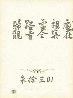 归路电视剧免费观看全集在线播放