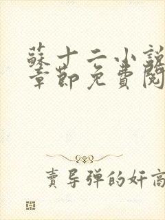 苏十二小说最新章节免费阅读全文