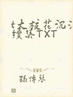 t大校花沉浮录续集TXT