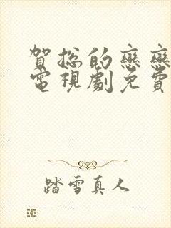 贺总的恋恋不忘电视剧免费全集在线观看