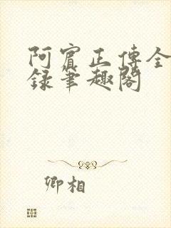 阿宾正传全文目录笔趣阁