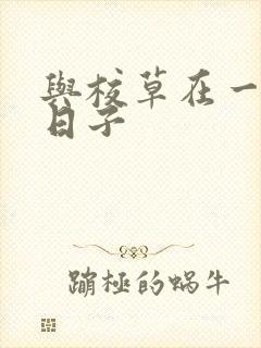 与校草在一起的日子