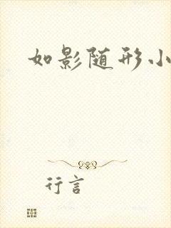 如影随形小说