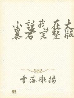 小说我在大明当暴君完整版未删减小说封面