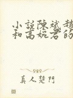 小说陈斌赵心媚和高婉君的小说免费阅读