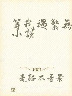 等我遇繁无删减小说