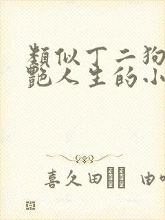 类似丁二狗的猎艳人生的小说