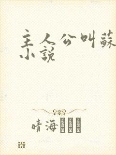 主人公叫苏霞的小说