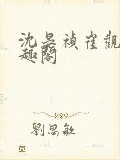 沈晏祯崔观颐笔趣阁