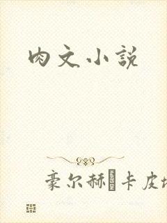 肉文小说