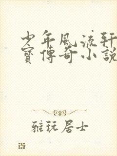 少年风流轩辕大宝传奇小说