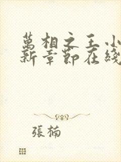 万相之王小说最新章节在线