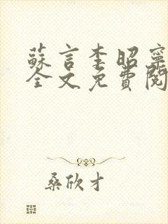 苏言李昭宁小说全文免费阅读封面